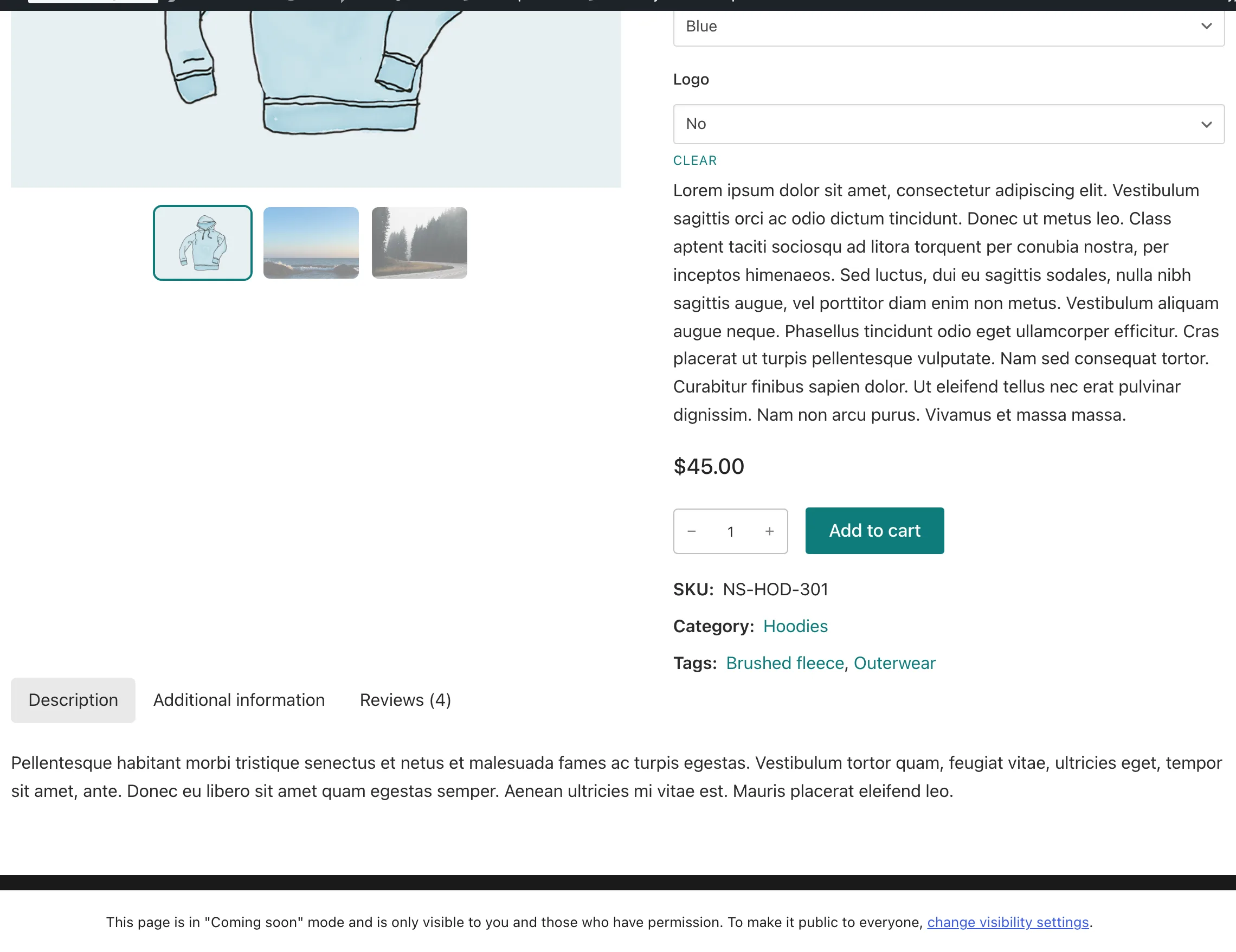 The completed Northstar product template shows the Hoodie gallery, Color and Logo selectors, purchase controls, metadata, and Product Tabs on the storefront.