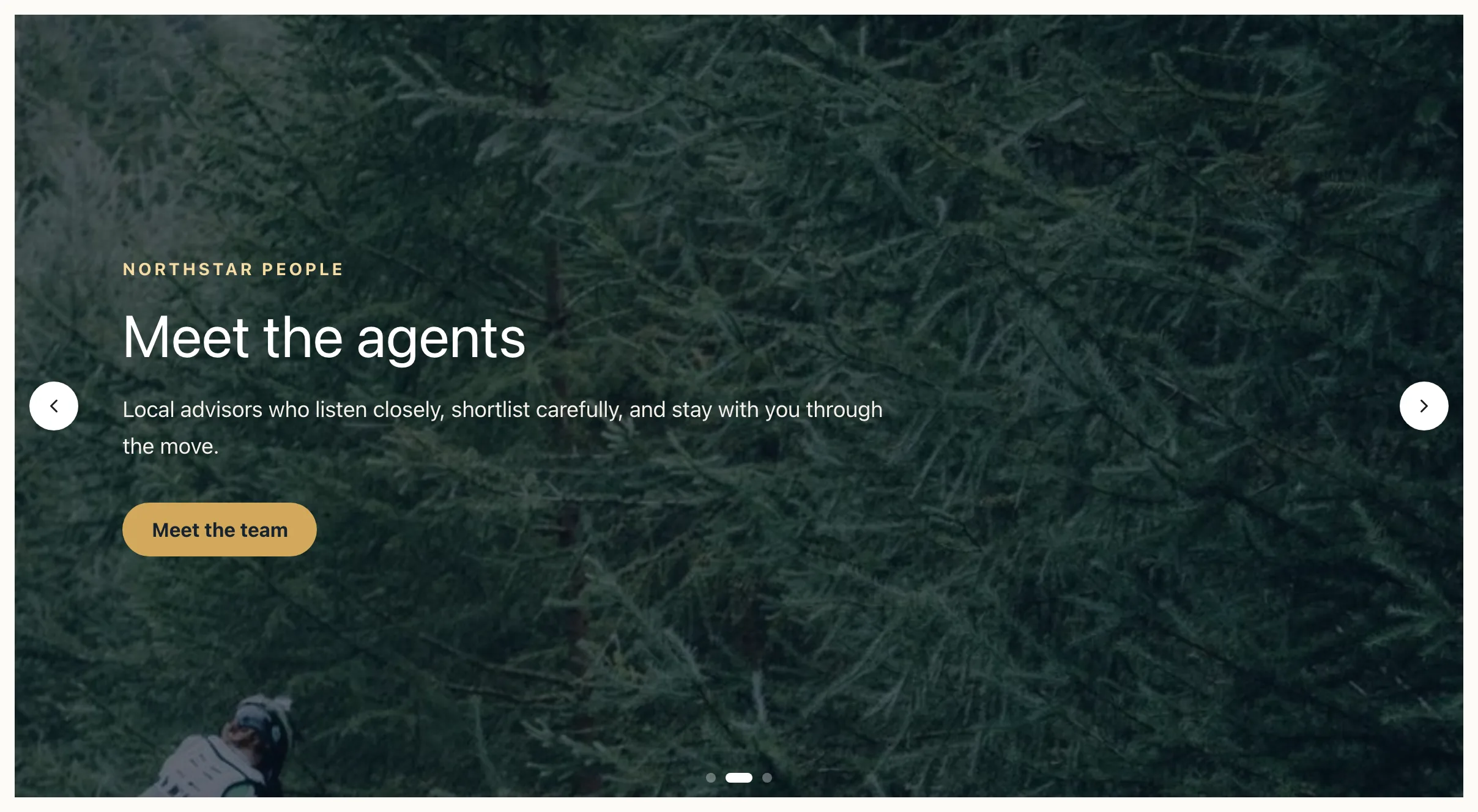 The published Northstar Studio hero Slider shows the Meet the agents slide with light arrows and centered dots inside the slide.