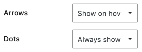 The Media Slider navigation controls show Arrows set to Show on hover and Dots set to Always show.
