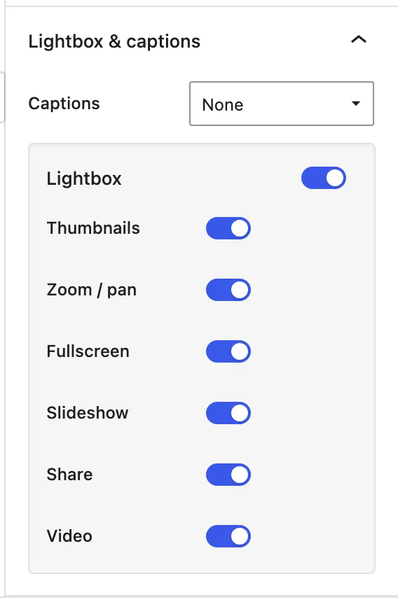 The Lightbox and captions panel shows Lightbox enabled with its thumbnail, zoom, fullscreen, slideshow, share, and video controls.