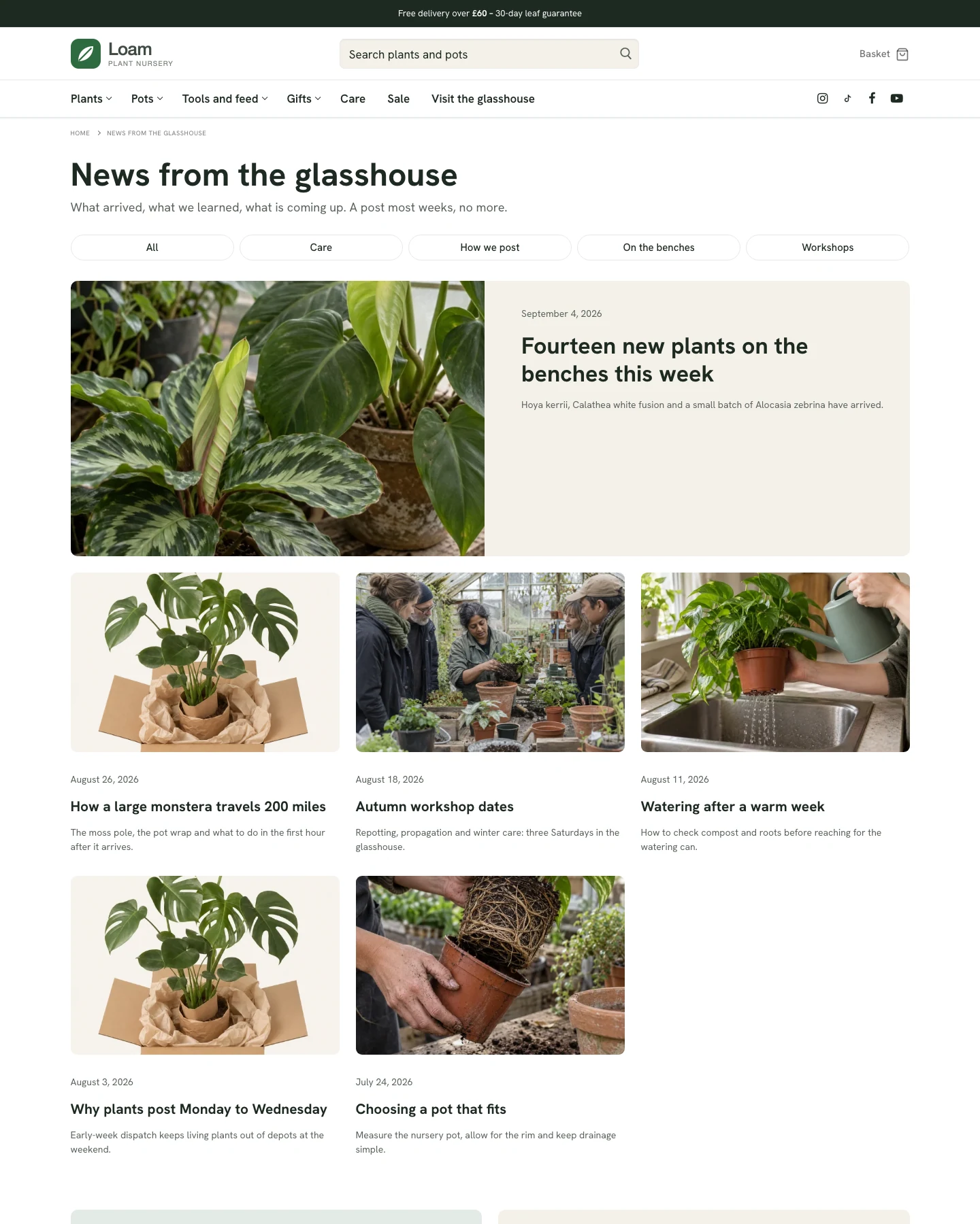 Loam Blog Page – plant nursery WooCommerce template