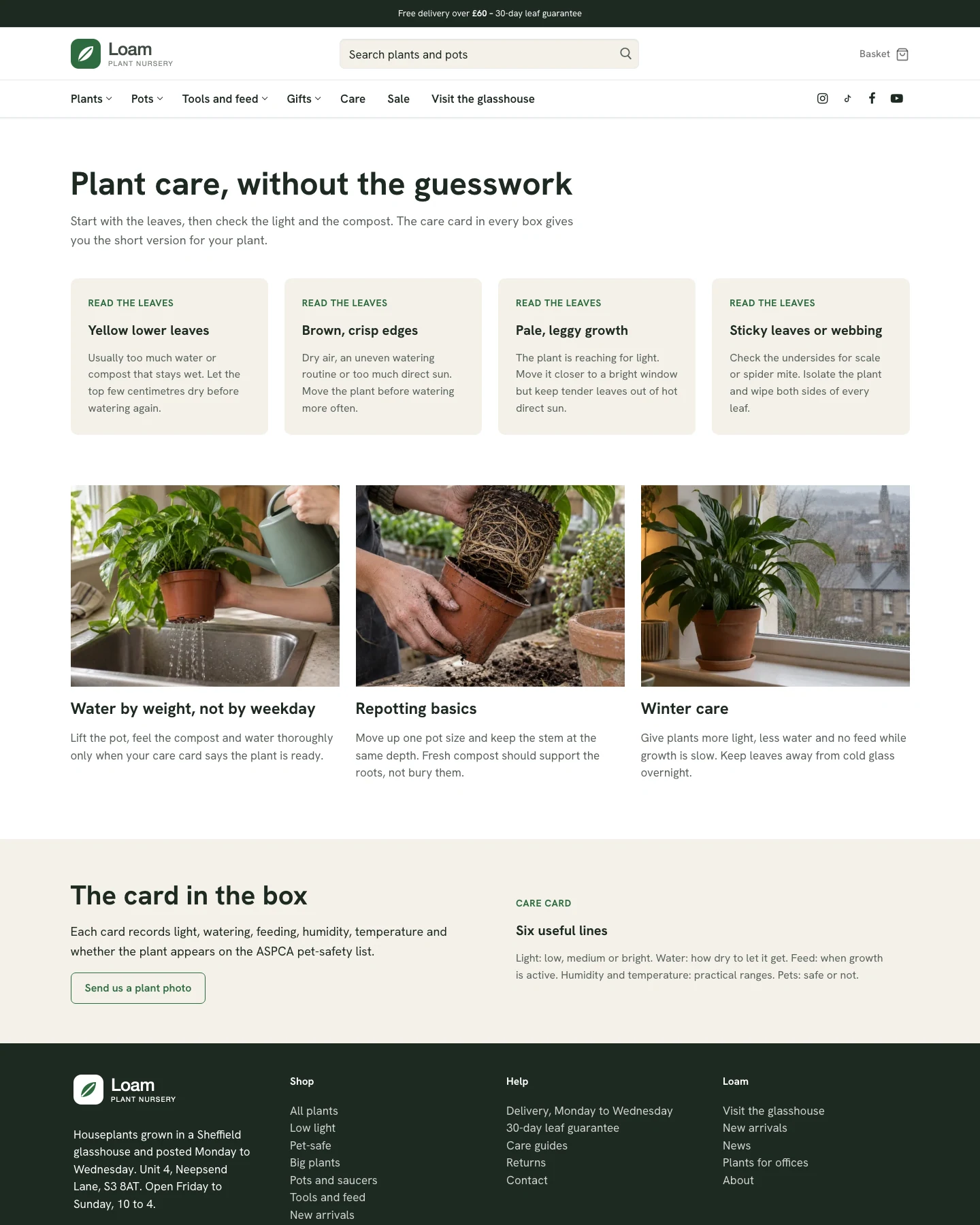 Loam Plant Care – plant nursery WooCommerce template
